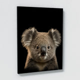 Animal Koala Wall Art