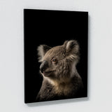 Animal Koala Wall Art