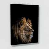 Animal Lion Wall Art