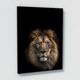 Animal Lion Wall Art