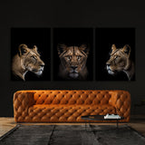 Animal Lioness Wall Art