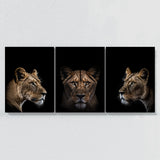 Animal Lioness Wall Art