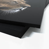 Animal Lioness Wall Art