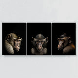 Animal Monkey Wall Art