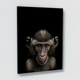 Animal Monkey Wall Art