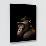 Animal Monkey Wall Art