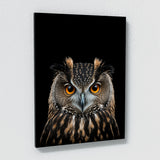 Animal Owl Wall Art