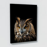 Animal Owl Wall Art