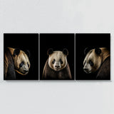 Animal Panda Wall Art