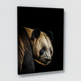 Animal Panda Wall Art