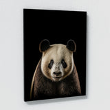 Animal Panda Wall Art