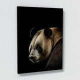 Animal Panda Wall Art