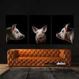 Animal Pig Wall Art