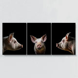 Animal Pig Wall Art