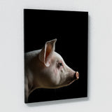 Animal Pig Wall Art