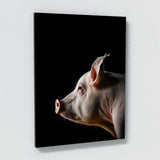 Animal Pig Wall Art