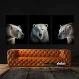 Animal Polar Bear Wall Art
