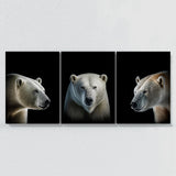Animal Polar Bear Wall Art
