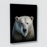 Animal Polar Bear Wall Art