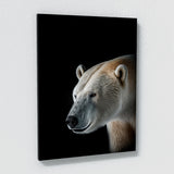 Animal Polar Bear Wall Art