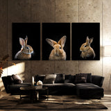 Animal Rabbit Wall Art