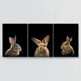 Animal Rabbit Wall Art