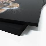 Animal Rabbit Wall Art