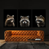 Animal Raccoon Wall Art