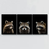Animal Raccoon Wall Art