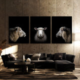 Animal Sheep Wall Art