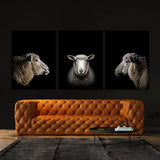 Animal Sheep Wall Art