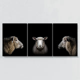 Animal Sheep Wall Art