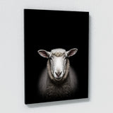 Animal Sheep Wall Art