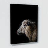 Animal Sheep Wall Art