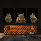 Animal Squirrel Wall Art