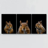 Animal Squirrel Wall Art