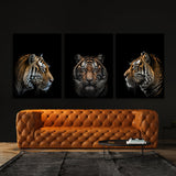 Animal Tiger Wall Art