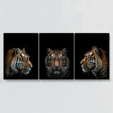 Animal Tiger Wall Art