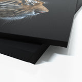 Animal Tiger Wall Art