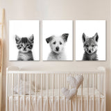 Nurbusery Baby Cat Dog Wolf 2 Wall Art