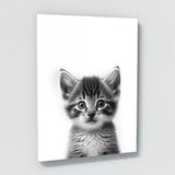 Nurbusery Baby Cat Dog Wolf 2 Wall Art