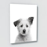 Nurbusery Baby Cat Dog Wolf 2 Wall Art