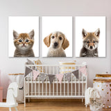 Nurbusery Baby Cat Dog Wolf 3 Wall Art