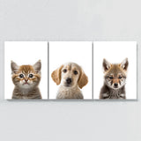 Nurbusery Baby Cat Dog Wolf 3 Wall Art