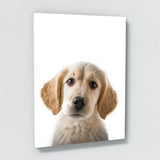 Nurbusery Baby Cat Dog Wolf 3 Wall Art