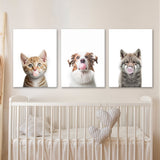 Nurbusery Baby Cat Dog Wolf 5 Wall Art