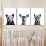 Nursery Baby Bear Deer Wolf 2 Wall Art