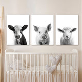 Nursery Baby Cow Pig Sheep 2 Wall Art
