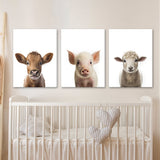 Nursery Baby Cow Pig Sheep 3 Wall Art