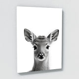 Nursery Baby Deer Fox Owl 2 Wall Art